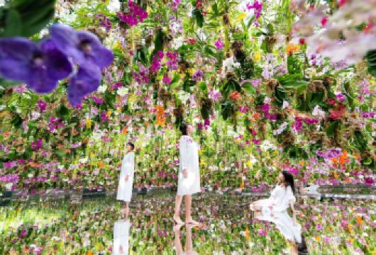 澳门一日游【独立成团上门接+可自定制行程+打卡澳门地标景点】【网红打卡景点+上门接送+出发时间自由安排+司兼向导+行程可随意更改，希望您有一次愉快的旅游体验！】