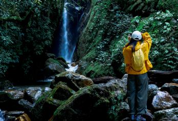 云南腾冲高黎贡山+北海湿地一日游【五道溪 独立成团不拼车】【[轻徒步]轻徒步高黎贡山，远离城市的喧器，行走在山里，享受着幽静清新的大自然的气息。】