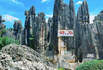 昆明+石林风景区+九乡风景区/当地老司机|纯玩无套路|服务好【车辆15%空座率，严选安全舒适车辆，优秀当地老司机，熟悉路况，安全驾驶，服务态度好，真诚待客。】