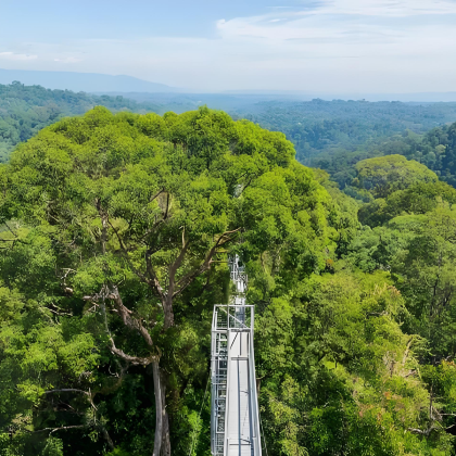 文莱轻旅行・悠闲打卡一日游 (机场//轮船港口专车接送）