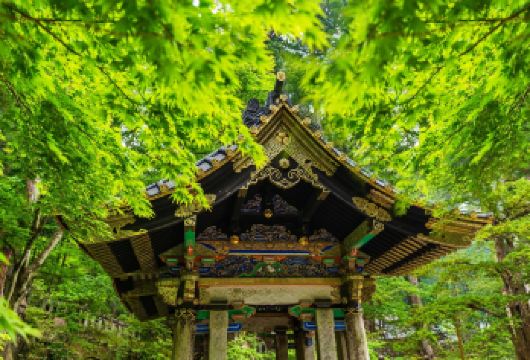 日光世界遗产一日游：东照宫＆中禅寺湖＆华严瀑布＆温泉乡泡汤【可选9人小团&1人保证成团，出行无忧；保证绿牌正规营运车辆，安全合法！】