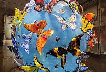 淄博陶瓷琉璃博物馆代预约+金牌导游1.5H精讲+含蓝牙耳机【20人以内小团】