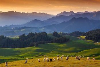 江布拉克一日游【6人小团 草原风光+万亩麦田看纯正的草原】【经典景点：江布拉克】
