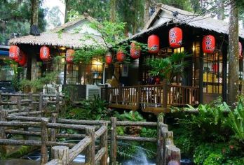 溪头妖怪村+溪头自然教育园区+忘忧森林+杉林溪森林游乐园【探访神秘的溪头妖怪村，感受云雾中的枯木水潭秘境，来一场心灵的放松之旅！】