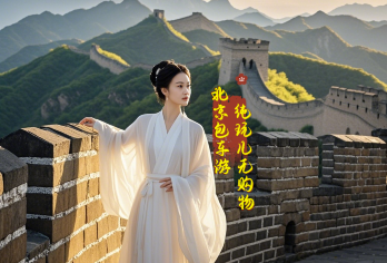 八达岭长城包车一日游【一家一团独立包车畅游北京】【[私家定制]一家一团独立包车，出发时间可以由您来定】