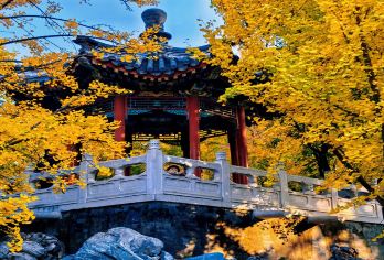 避暑山庄半日游【人工讲解& 纯玩无购物&带您走进皇家园林】【[大咖讲解]深度解析避暑山庄，讲述不一样的避暑山庄】