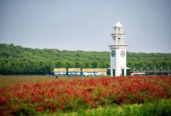 南京赏秋周边游：枫彩漫城+六合恋山坝上草原【全程包车 专属服务】