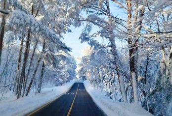 汉拿山+橘子咖啡厅+柱状节理带+海豚公路+挟才海边+涯月海边【1.公司优势：济州旅行社 济州市区内酒店1位起酒店接 一人起订 天天发团】