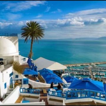 突尼斯私人游：迦太基遗址+罗马浴场+蓝白小镇｜非洲版圣托尼里