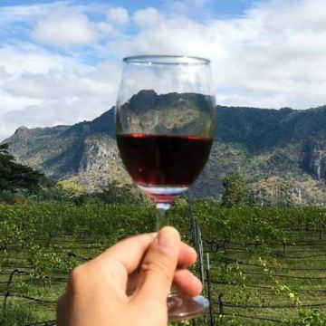 曼谷出发的考艾自然与葡萄酒私享体验