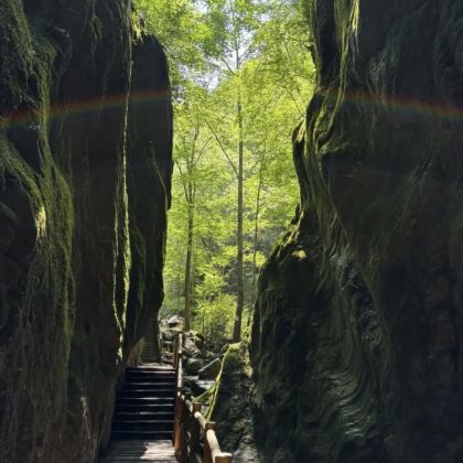 牛背梁国家森林公园包车游