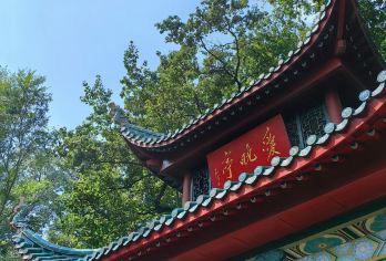 湖南博物院+岳麓山+橘子洲景区一日游【【深度讲解含门票】【[经典线路,一天游尽]一天游尽山·水·洲·城，转长沙经典，精华的景点，无购物，保障游质量】
