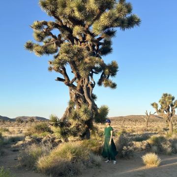 美国洛杉矶/救赎山-沙漠奥莱-棕榈泉/包车【精选老司机】