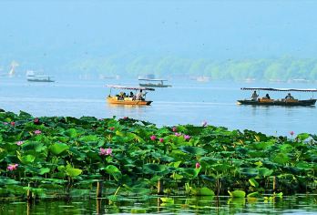 西湖风景区—灵隐寺—龙井村—清河坊街【8小时VIP服务，丰富的文化体验。】