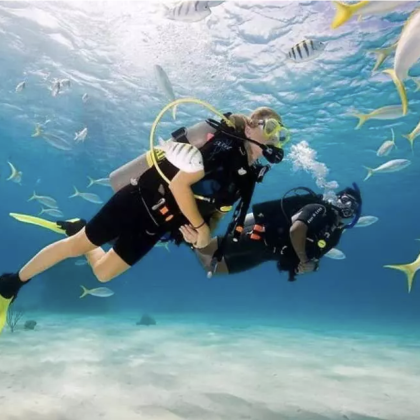 长滩岛潜水(体验或Fun Dive)2项选择欣赏热带鱼与珊瑚