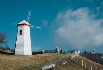 台中日月潭、高美湿地一日游8小时：客制化行程（台中出发）【专业中／英／日／韩司机带领，轻松游探访台北知名景点】