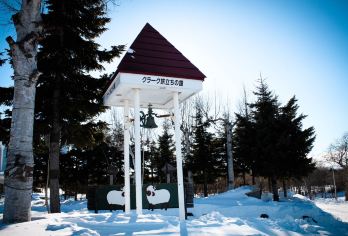 北海道中文包车一日游/旭山动物园+美瑛圣诞树+青池+白须瀑布【中文专车司导+市区酒店上门接送+行程可调】