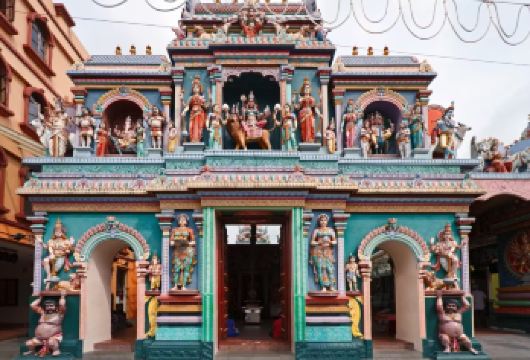 新加坡包车一日游：地标打卡+滨海花园一站式畅玩【全程空调专车随行，省去烈日暴走与公共交通换乘麻烦，中文司机熟悉当地路况与景点故事，游玩更省心】