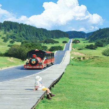 【纯玩·小团】仙女山森林公园+武隆天生三桥+乌江画廊一日游