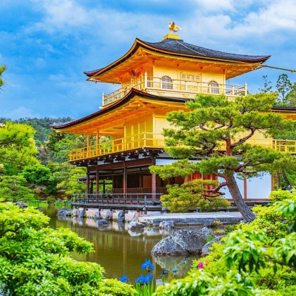 【京都深度游】大阪京都金阁寺+清水寺漫步+伏见稻荷大社一日游