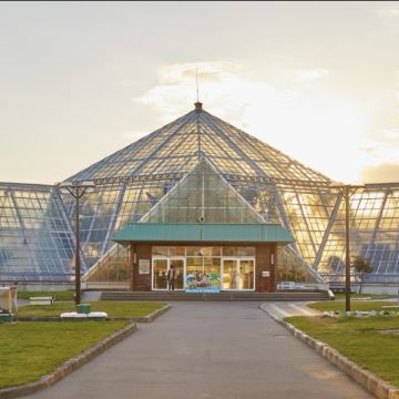 北海道函馆深度游：美食滑雪夜景温泉一站式体验
