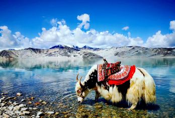 新疆喀什帕米尔高原喀拉库勒湖+白沙湖一日，6人拼小团，单包车【[套餐多选]：七座商务，6人内拼小团，纯玩无购物，1人起订，天天发，上门接送】