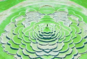 可选小团+察尔汗盐湖半日游【上午和下午团出发.】【优化组合，纯玩路线，深度玩法，消费明确，私人订制。】