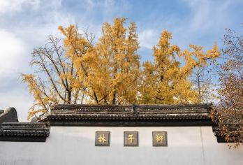 狮子林半日游【深度体验/ 私人定制服务II 可代订旅游服务】【专业向导精心讲解】