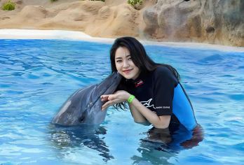 烟台蓬莱欧乐堡海洋极地世界一日游/文成城堡【‘’动感，时尚，欢乐，梦幻“深度游览，做个慢游旅行家】