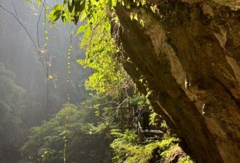 【悠游武隆】天生三桥、龙水峡地缝含门票含车纯玩一日游重庆旅游【[景点精选]天生三桥、龙水峡地缝】