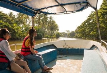 哥打京那巴鲁Kawa红树林长鼻猴＆萤火虫-含茶点晚餐一日游【探索红树林湿地保护区，邂逅野生动物出没率更高，包含长鼻猴，体验更纯粹。】