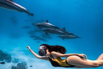 埃及红海出海一日游【可选浮潜/深潜/玻璃船/海豚湾追海豚】【[原生态海底]有机会与五颜六色热带鱼近距离接触，伴随一同遨游海洋】