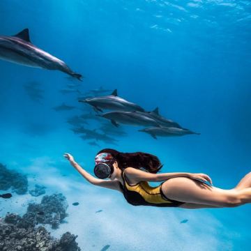 埃及红海出海一日游【可选浮潜/深潜/玻璃船/海豚湾看海豚】