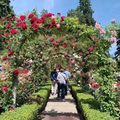 维多利亚渔人码头-布查德花园-魁达洛古堡