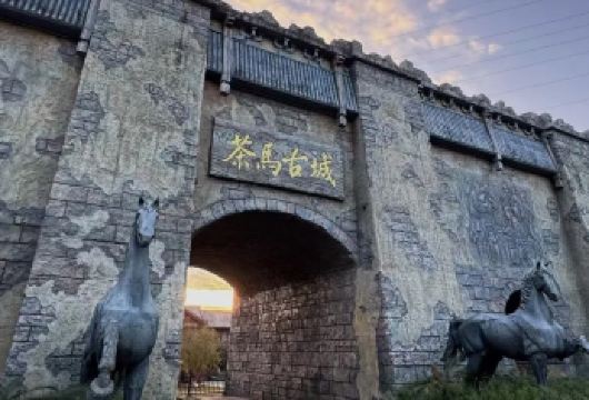 【2-8人纯玩拼小团】普洱茶马古道遗址+那柯里古镇一日游【[懒人友好]2-8人纯玩拼小团上门接送，游玩时间充裕，一日之内打卡茶咖文化】