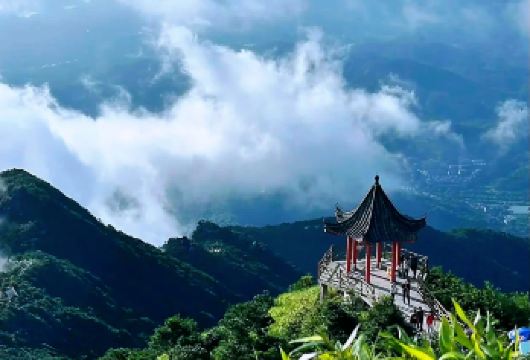 私家小团上门接送|惠州罗浮山风景名胜区+徐田古村一日游【私家旅行：一单一团，不拼客，专属旅行； 品质服务：5座/7座车上门接送，专职司机护航】