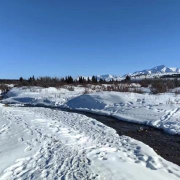 美国费尔班克斯迪纳利国家公园+雪橇犬基地【中文私享定制包车】