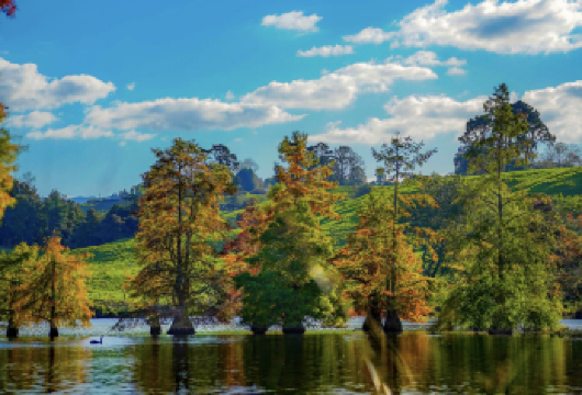 新西兰奥克兰+爱歌顿皇家牧场+罗托鲁瓦【中文专车-惬意舒适】【中文专车出行，行程自己定义，无需等待，专属贴心服务，尽享惬意旅程】