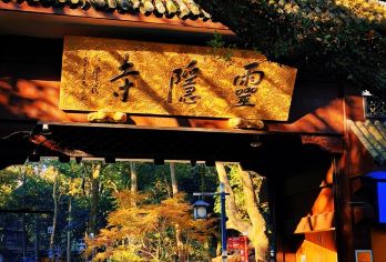 杭州灵隐飞来峰半日游【可选上门接送免换乘免排队快速入园】【[省心免排队]省去旺季排队2小时入园的烦恼，专属通道免排队快速入园，打卡秘境美景；】