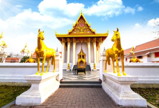 洛阳+龙门石窟+白马寺一日游【洛邑古城+三环内接+导游精讲】【12年老社连续8年发团量第一，时间充足慢慢游览。不增加自费景点、不压缩景点游览时间、不进购物店.】