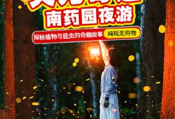 南药园一日游【升级夜游·昆虫科普·专业讲解·亲子推荐】【探秘夜间药用植物光影秘境，解锁新奇感官体验。】