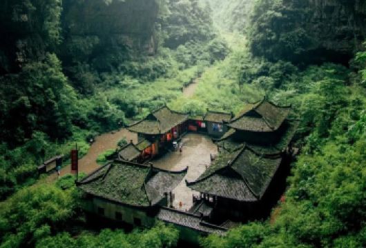 重庆武隆仙女山+天生三桥[纯玩]1日游含中餐+专线导游【[自然与人文的完美结合]—仙女山国家森林公园：感受高山草原的辽阔与森林的静谧】