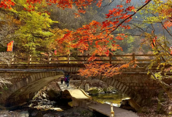 【沈阳起止】关门山国家森林公园一日游*请先咨询是否发团【多站点集合：市府、铁西、苏家屯，空调旅游车，每人一个正座】