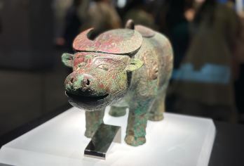 殷墟博物馆讲解拼团/包团3小时讲解【专业殷墟导游】