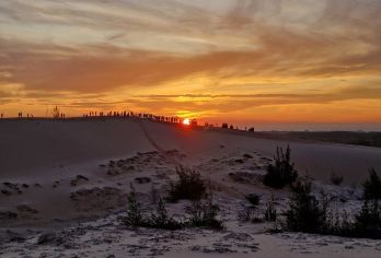 从胡志明市出发，欣赏美奈沙丘*迷人的日落【跟随当地导游探索美奈令人难忘的景点 乘坐吉普车沿着风景秀丽的海滨公路，探索渔村。参观仙女溪，涉过清凉的、深及脚踝的溪水。 在白沙丘体验四轮摩托车的刺激，沿着沙丘滑下山坡。在红沙丘欣赏令人叹为观止的日落】