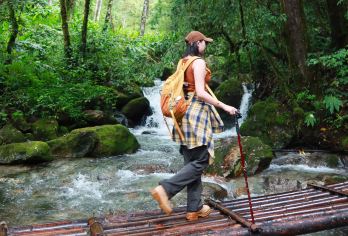 高黎贡山五道溪徒步一日游【天空之境+原始雨林毛毛球+瀑布群】【[深度体验]高黎贡山主山脉，穿梭毛毛球原始森林古道，邂逅天空之境，探秘溪谷瀑布群】