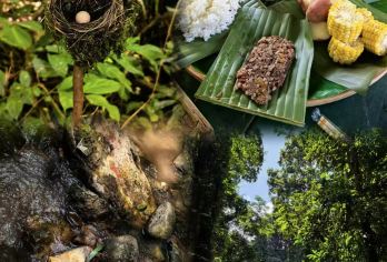 【含雨林餐含向导】基诺山雨林徒步一日游丨2-8人团丨上门接送【[专业团队]可选6人小团，2人起订，可选出行方式，自由随心，当地向导带队游玩。】