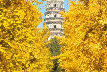 苏州深度轻松8h包车一日游【中文司导 酒店接送 24小时在线服务】