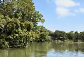 海珠湿地公园+B.I.G海珠湾艺术园区【都市“隐秘角落”探索之旅。】