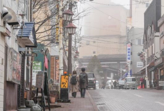 日本北海道+旭山+森林精灵阳台一日游/行程可调-可定制【专属客服和本地中文司机，一家一团包车】